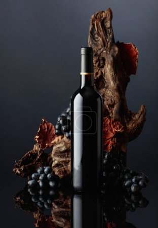 Téléchargez les photos : Bouteille de vin rouge avec un vieux chicots et des raisins bleus. Espace de copie. - en image libre de droit