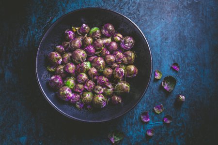 Photo for Organic Raw Green and Purple Brussel Sprouts in bowl , ready for cooking - Royalty Free Image