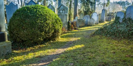 Foto de Old Jewish cemetery in Trebic, Czech republic. Established in 17th century and included in UNESCO World Heritage List - Imagen libre de derechos