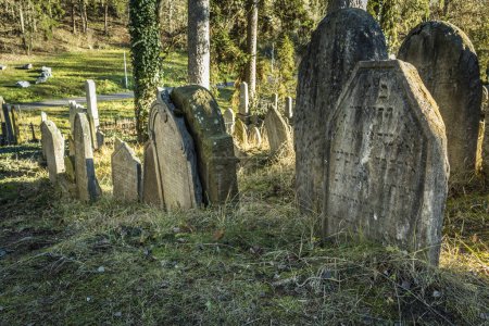Téléchargez les photos : Old Jewish cemetery in Trebic, Czech republic. Established in 17th century and included in UNESCO World Heritage List - en image libre de droit