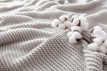 Téléchargez les photos : Cozy grey blanket with cotton flowers and copy space - en image libre de droit