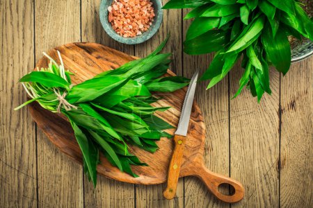Photo for Fresh wild leek leaves on a wooden board. Leaves of fresh ramson with pink Himalayan salt. - Royalty Free Image