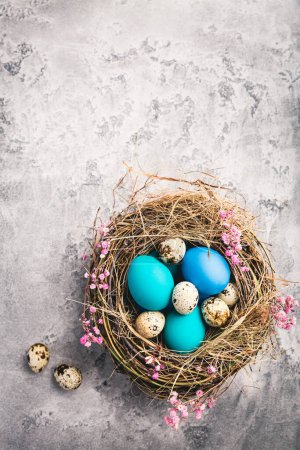 Foto de Feliz Pascua - nido con huevos de Pascua sobre fondo gris con espacio para copiar - Imagen libre de derechos