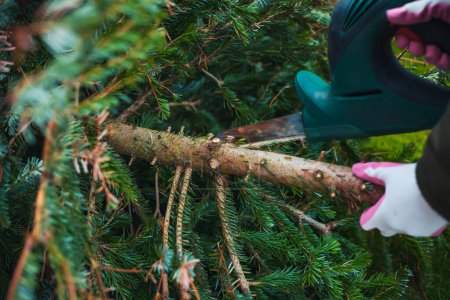 Téléchargez les photos : Travaux de jardinage en automne et en hiver. Adolescent scie vieux sapin de Noël avec scie électrique et couper les branches . - en image libre de droit