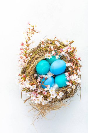 Foto de Feliz Pascua - nido con huevos de Pascua y rama de cereza sobre fondo blanco con espacio para copiar. - Imagen libre de derechos