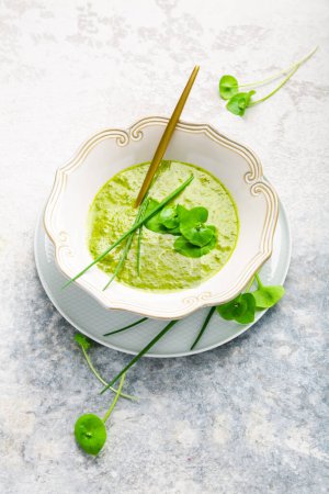 Photo for Healthy green soup with fresh spring plants, herbs, winter purslane, chives and  ramson - Royalty Free Image