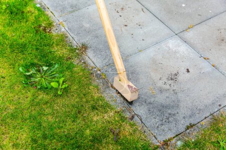 Téléchargez les photos : Nettoyage des fissures de terrasse avec balai métallique des mauvaises herbes. - en image libre de droit