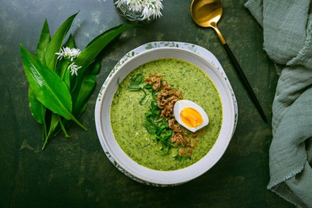 Photo for Wild garlic soup, bear leek soup (ramson soup) with boiled egg - Royalty Free Image