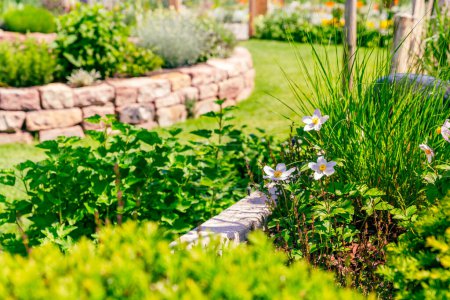 Foto de Cama de flores con césped verde y espiral de hierbas hecha de ladrillos para un pequeño jardín - Imagen libre de derechos