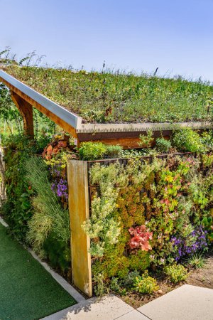 Téléchargez les photos : Abri de jardin avec toiture verte et jardin vertical, concept de toiture verte. - en image libre de droit