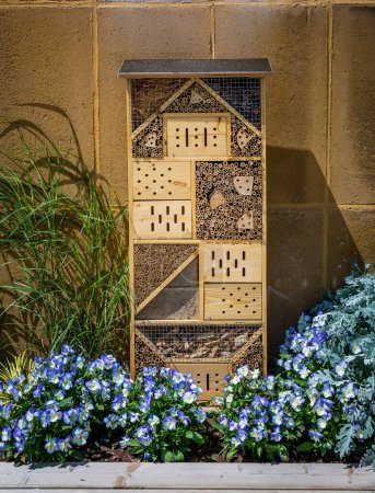Téléchargez les photos : Hôtel d'insectes fabriqué, maison de punaises fabriquée à partir de différents matériaux pour offrir une protection et une aide à la nidification aux abeilles et autres insectes - en image libre de droit