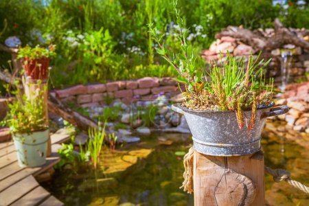 Téléchargez les photos : Jardin naturel avec petit patio, plantes indigènes, pierres naturelles, étang et plantes en pot - en image libre de droit