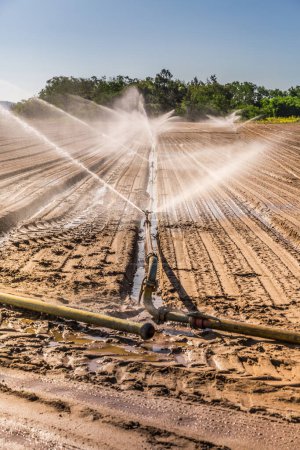 Téléchargez les photos : Système d'irrigation sur un grand champ agricole - en image libre de droit