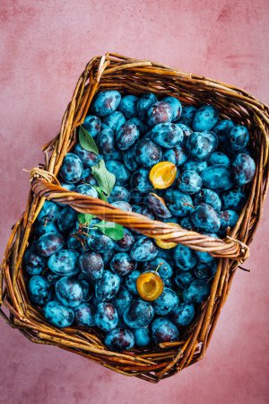 Photo for Freshly picked plums in a basket. Organic food and harvesting concept - Royalty Free Image