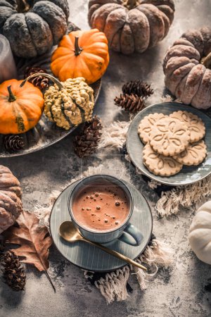 Photo for Chai chocolate  or hot cacao with chai cookies, pumpkins for Thanksgiving breakfast. Cozy autumn still life, hygge. - Royalty Free Image