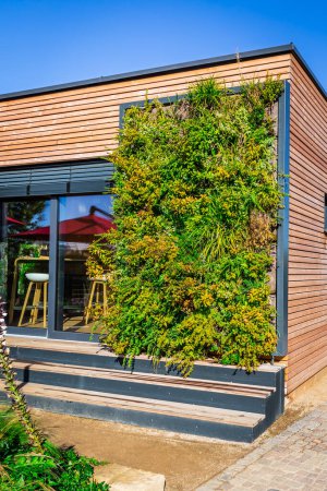 Téléchargez les photos : Mur de maison en bois de maison moderne ou café avec jardin vertical, design moderne - en image libre de droit