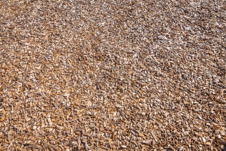 Photo for Woodchips used as safe soft surface for a playground or against weeds in a garden, bark mulch - Royalty Free Image
