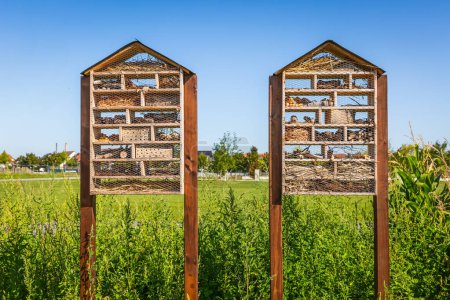 Téléchargez les photos : Deux insectes en bois insecte maison hôtel dans un champ, biodiversité - en image libre de droit