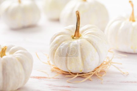 Téléchargez les photos : Citrouilles blanches sur table en bois, Thanksgiving et décoration d'automne - en image libre de droit
