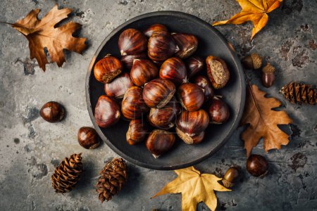 Photo for Organic sweet chestnuts in a bowl on kitchen table, prepared for baking or cooking - Royalty Free Image