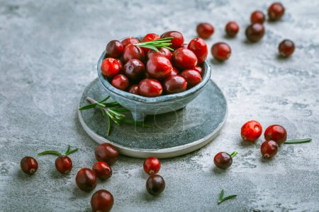 Photo for Organic Cranberries in a bowl on grey background - Royalty Free Image