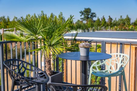 Téléchargez les photos : Salon et espace détente sur le toit de la maison de ville moderne avec des plantes vertes - en image libre de droit