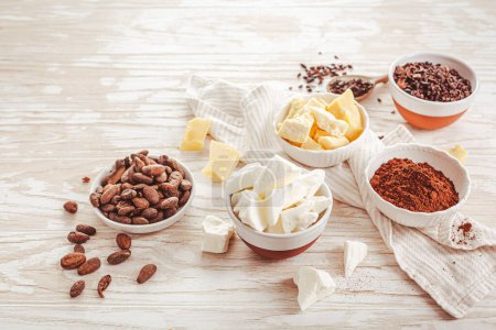 Foto de Granos de cacao, chocolate, manteca de cacao, plumas y cacao en polvo, ingredientes para hornear - Imagen libre de derechos
