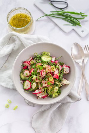 Téléchargez les photos : Salade saine de radis et concombre avec vinaigrette et oignons verts. - en image libre de droit