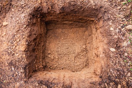 Photo for Hole in a soil, prepared for planting or construction, pit in a ground with shovel - Royalty Free Image