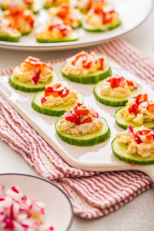 Photo for Cucumber appetizers with tuna and salmon spread with radish, fingerfood, healthy bits - Royalty Free Image