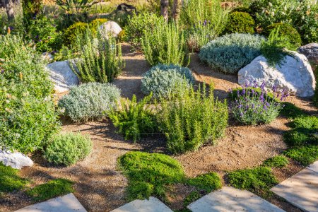 Téléchargez les photos : Cour arrière avec fantastique aménagement paysager, patio, plantes résistantes à la sécheresse - en image libre de droit