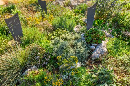 Moderne gab Kreuz und Grabstein mit einheimischen Pflanzen und Sukkulenten verziert
