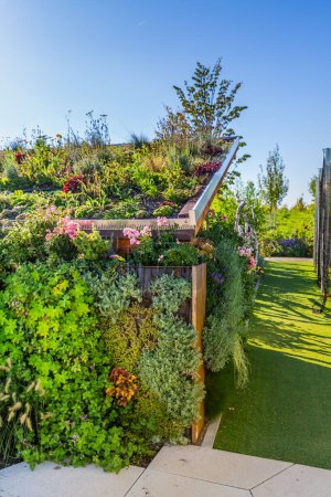 Foto de Cobertizo de jardín con techos verdes y jardín vertical, concepto de techos verdes - Imagen libre de derechos