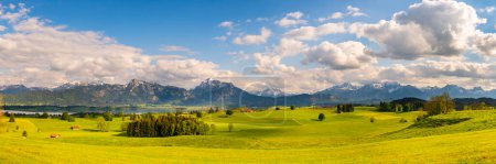 Téléchargez les photos : Paysage panoramique avec prairie et agriculture - en image libre de droit