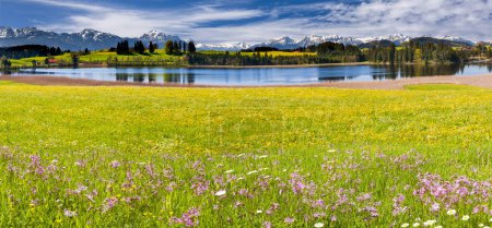 Téléchargez les photos : Vue panoramique sur la chaîne de montagnes derrière le lac et le pré avec des fleurs au printemps - en image libre de droit