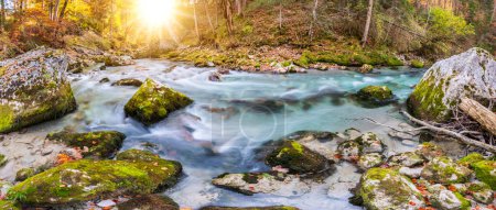Photo for Beautiful wild river with clear water in ravine - Royalty Free Image
