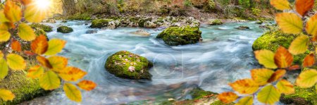 Foto de Hermoso río salvaje con agua clara en barranco - Imagen libre de derechos