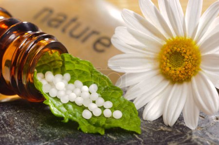 Téléchargez les photos : Médecine alternative avec des pilules à base de plantes - en image libre de droit