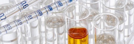 Photo for Test tubes and glassware in chemistry laboratory - Royalty Free Image