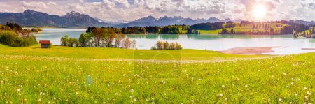 Téléchargez les photos : Panoramic landscape with lake at springtime in front of mountain range - en image libre de droit