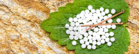 Photo for Alternative medicine with herbal pills and acupuncture - Royalty Free Image
