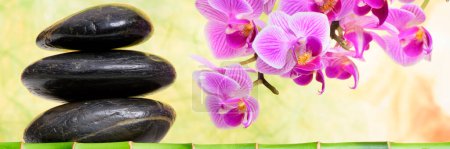 Photo for Japanese zen garden with orchid flower - Royalty Free Image