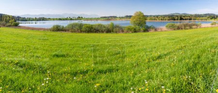 Téléchargez les photos : Panoramic landscape with lake at springtime in front of mountain range - en image libre de droit