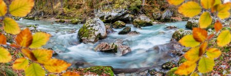 Photo for Wild river with clear water in beautiful canyon - Royalty Free Image