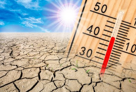 alta temperatura y falta de agua en el calor del verano