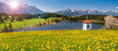 Téléchargez les photos : Vue panoramique sur le paysage rural avec chaîne de montagnes et prairie au printemps - en image libre de droit