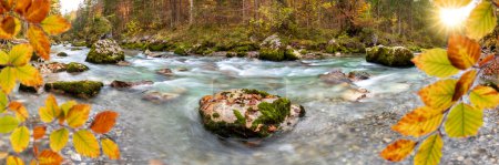 Téléchargez les photos : Rivière alpine claire dans le canyon tandis que l'automne - en image libre de droit