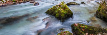 Foto de Río salvaje con agua clara en hermoso cañón - Imagen libre de derechos