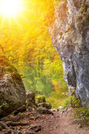 Téléchargez les photos : Paysage tranquille avec des feuilles colorées vibrantes et rayon de soleil - en image libre de droit