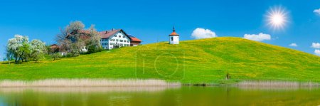 Photo for Panoramic landscape with flowers on meadow at springtime - Royalty Free Image